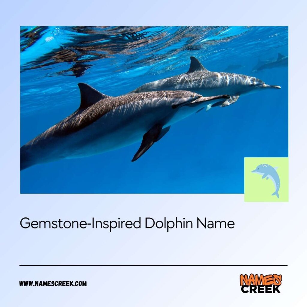 Gemstone-Inspired Dolphin Names