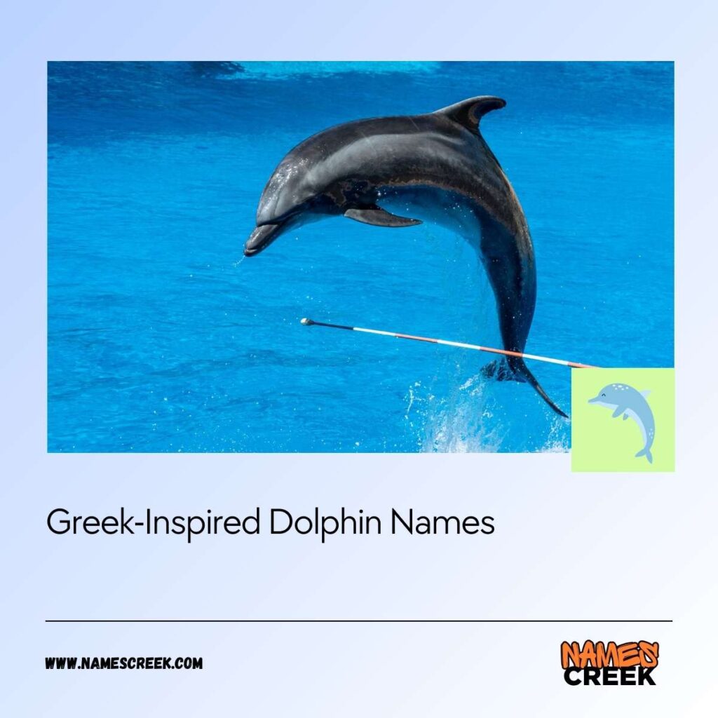 Greek-Inspired Dolphin Names