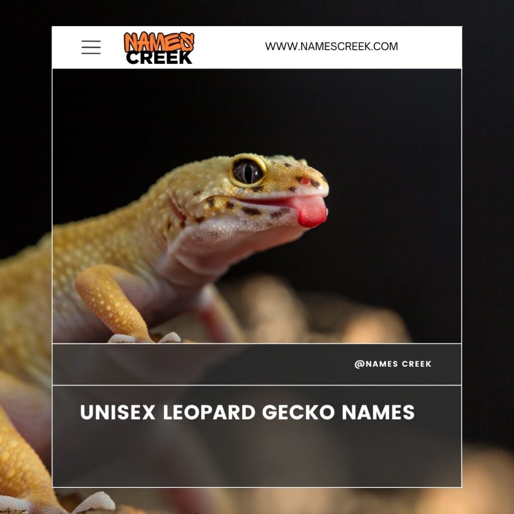 Unisex Leopard Gecko Names