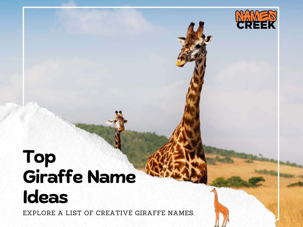 350 Giraffe Names