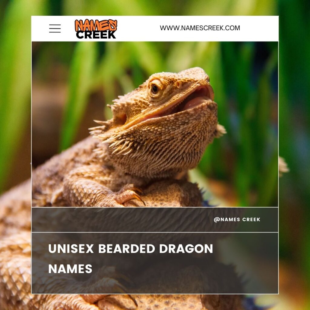 Unisex Bearded Dragon Names