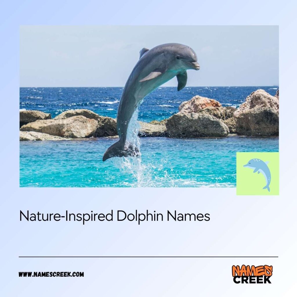 Nature-Inspired Dolphin Names