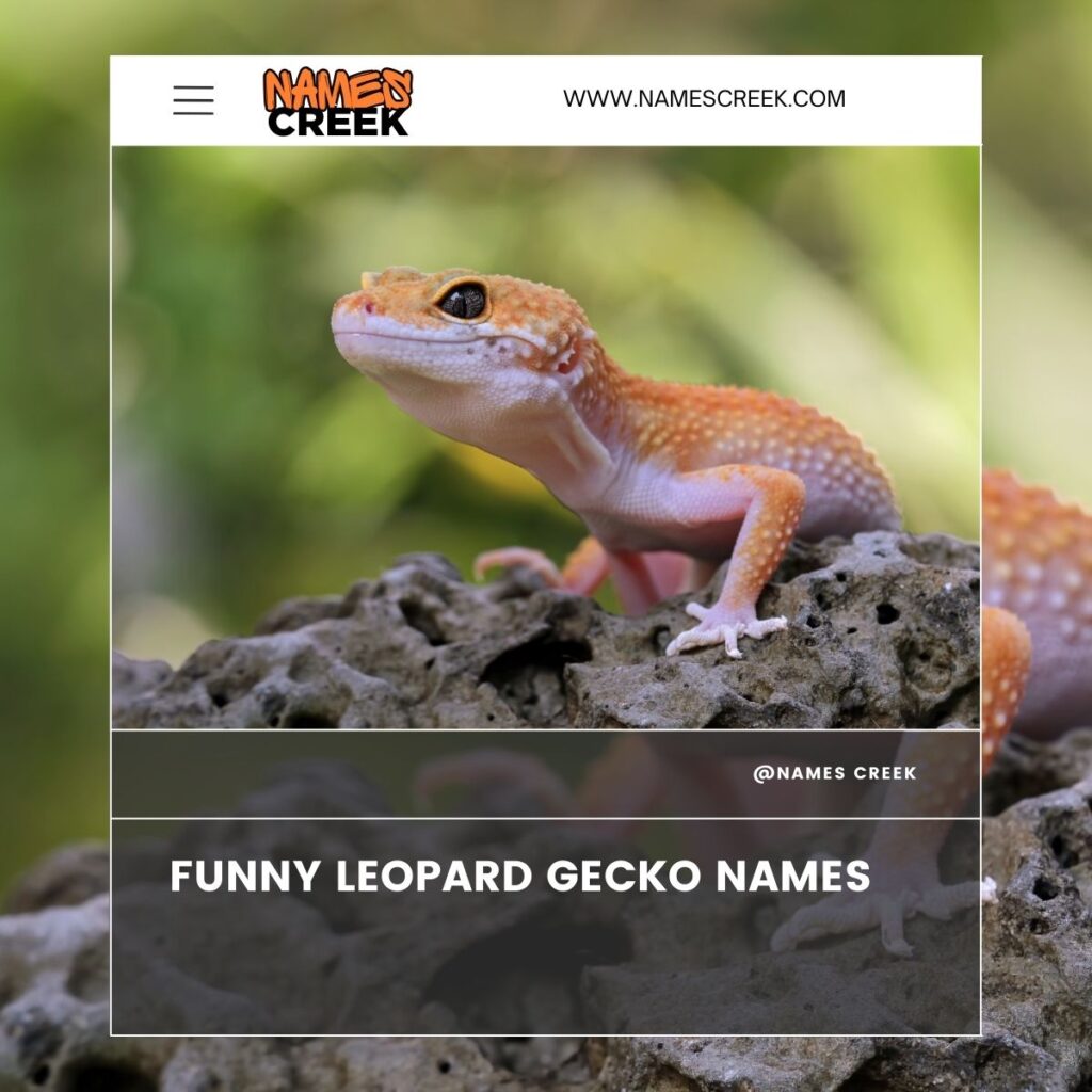 Funny Leopard Gecko Names