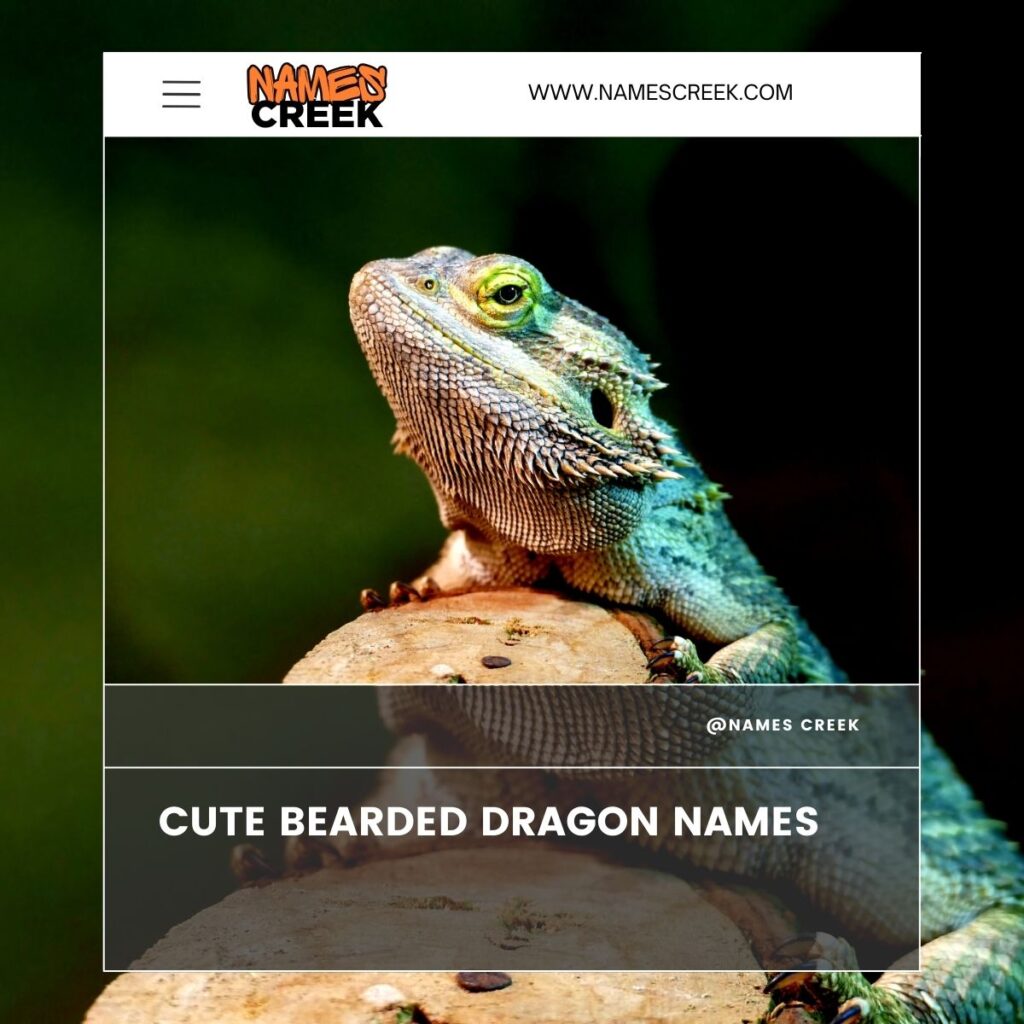 Cute Bearded Dragon Names