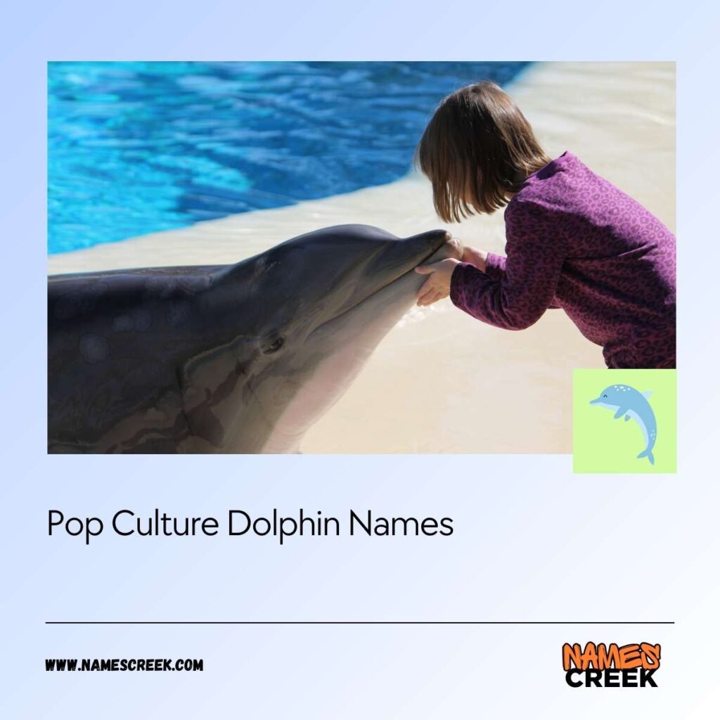 Pop Culture Dolphin Names