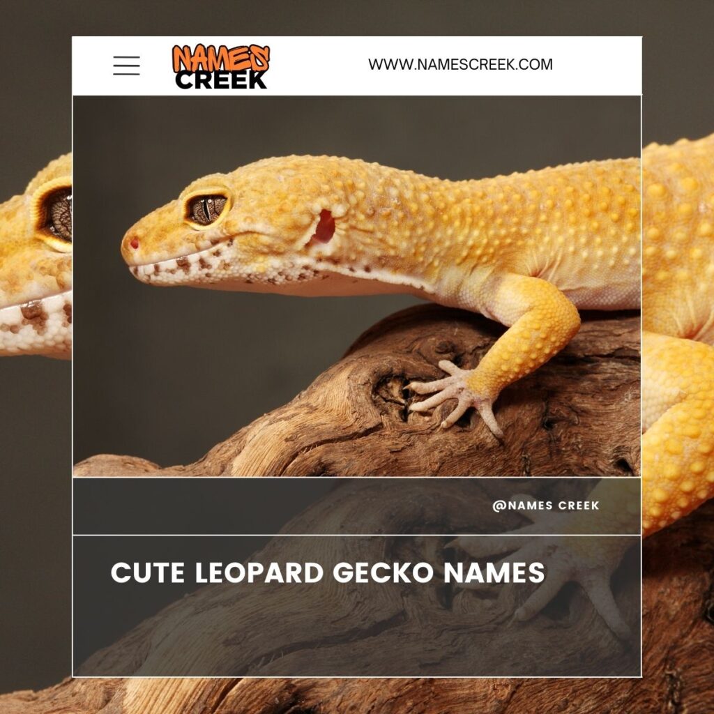 Cute Leopard Gecko Names