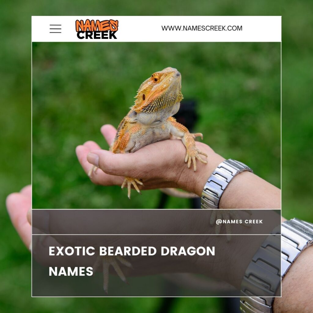 Exotic Bearded Dragon Names