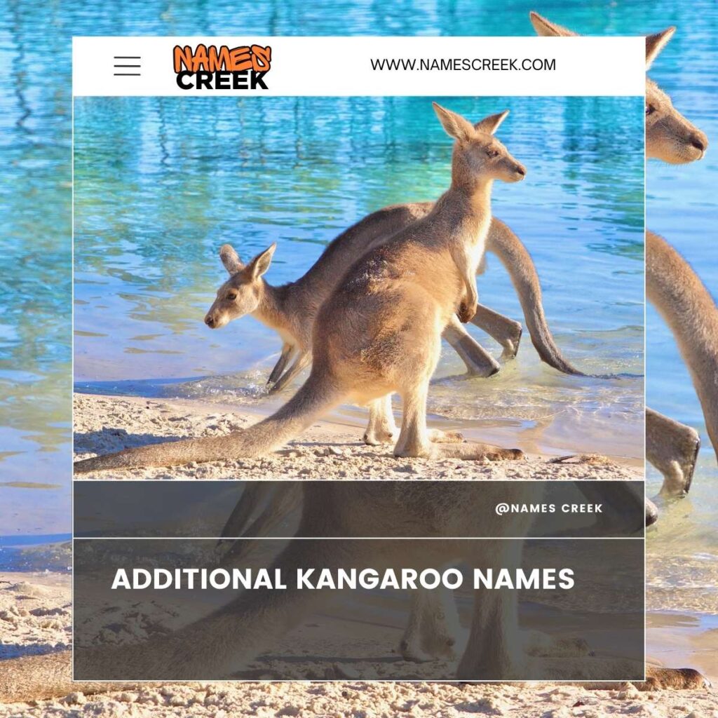 Additional Kangaroo Names