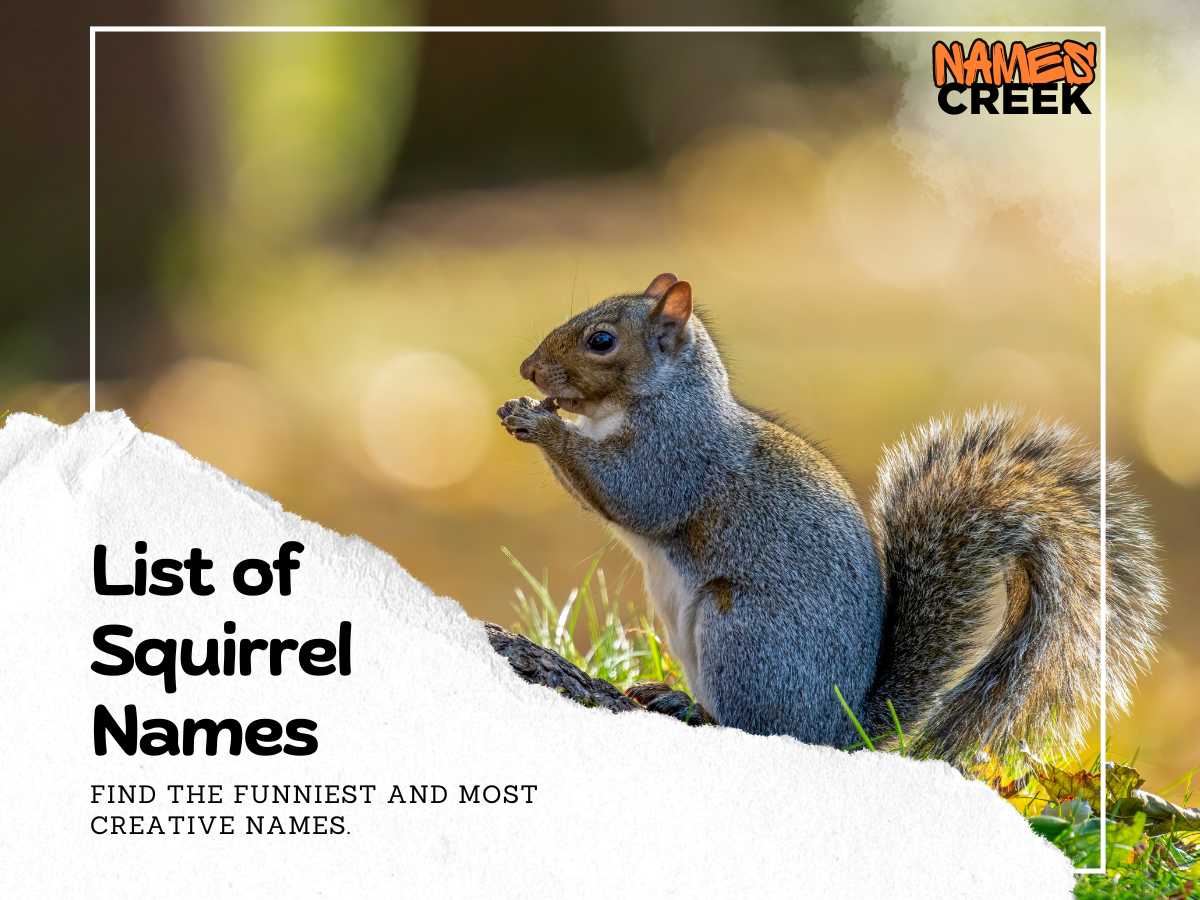 Top 445 Adorable Squirrel Names For Your Furry Friend