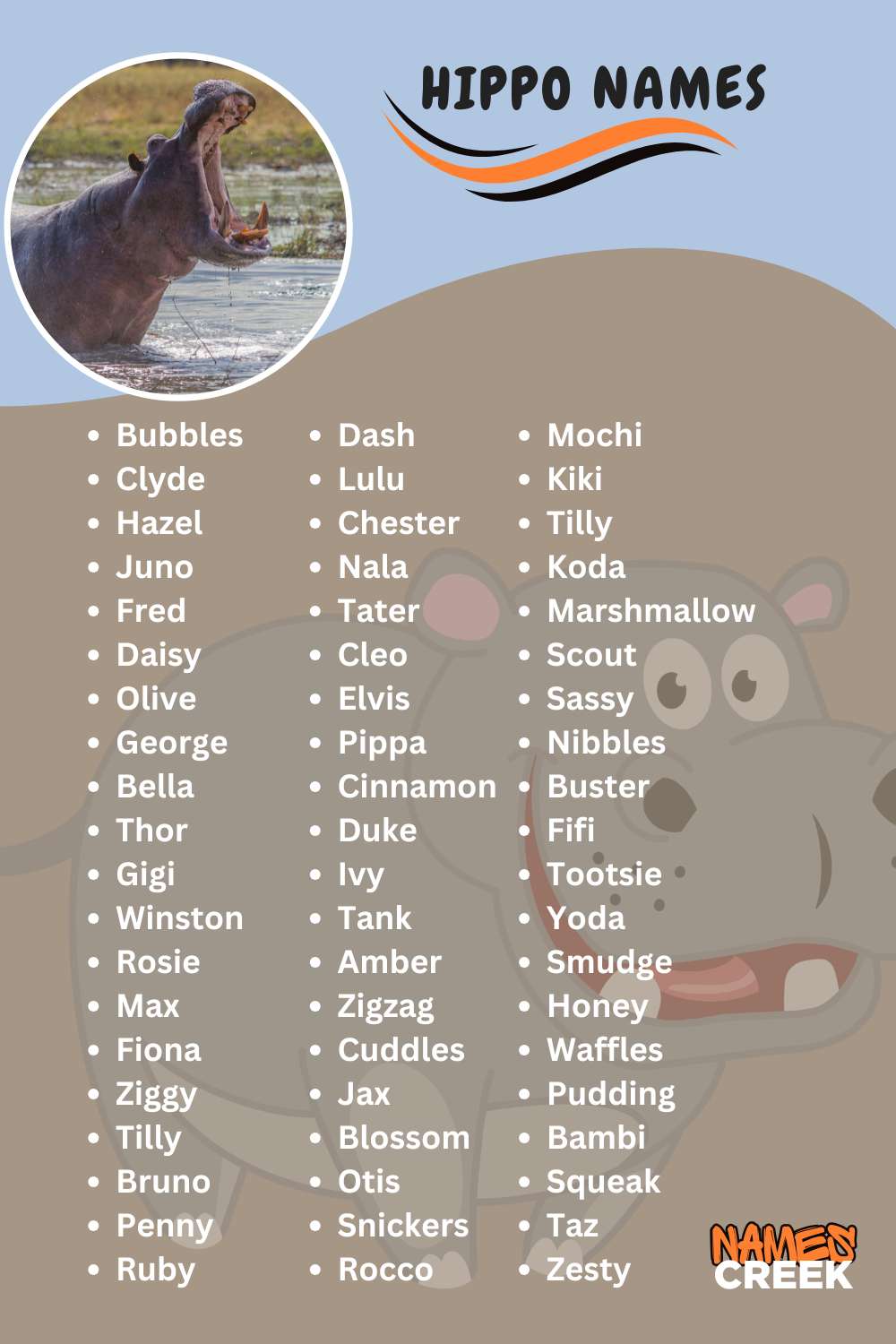 Top 400 Creative And Unique Hippo Names