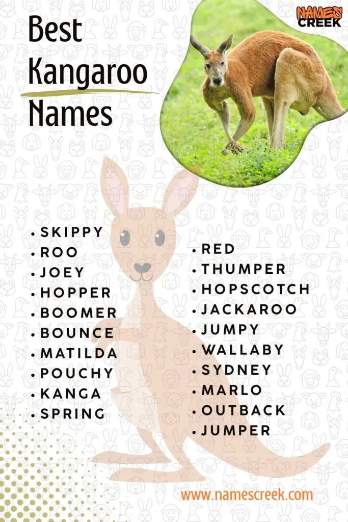 Best Kangaroo Names