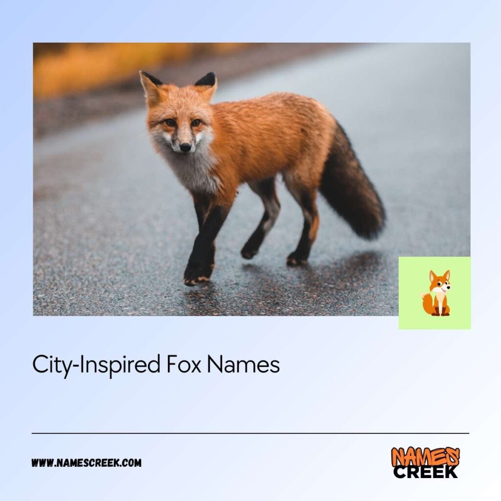 City-Inspired Fox Names