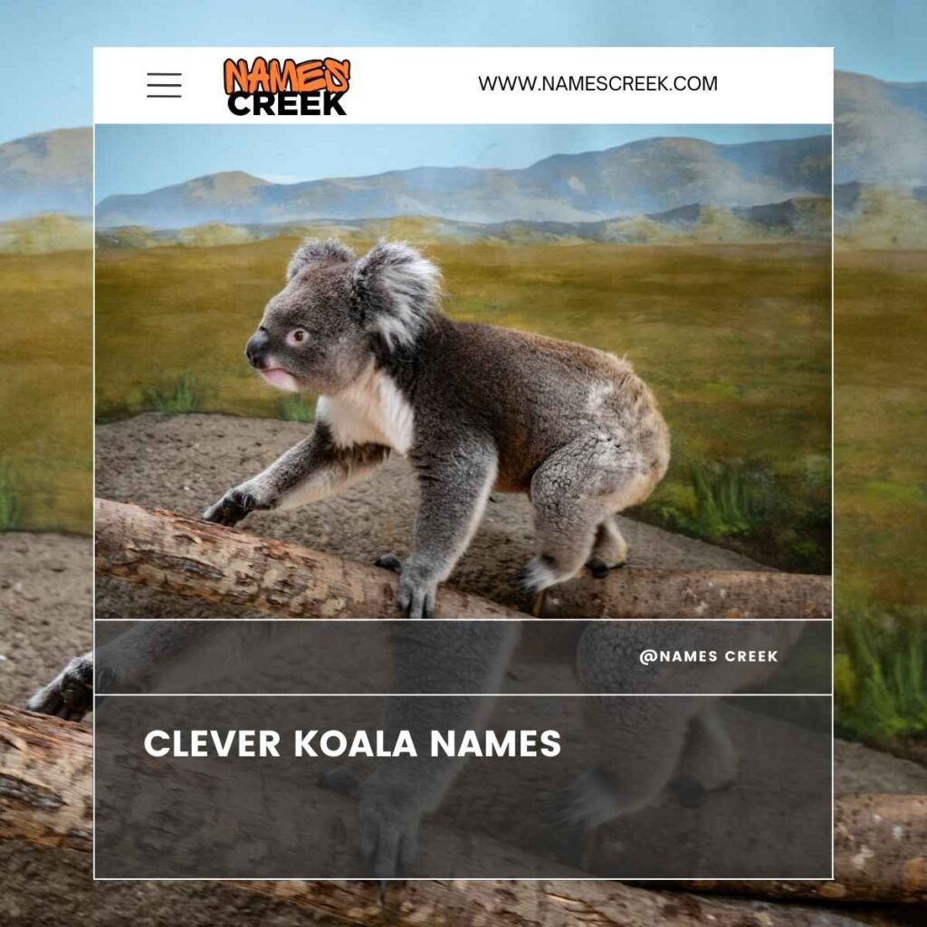 Clever Koala Names