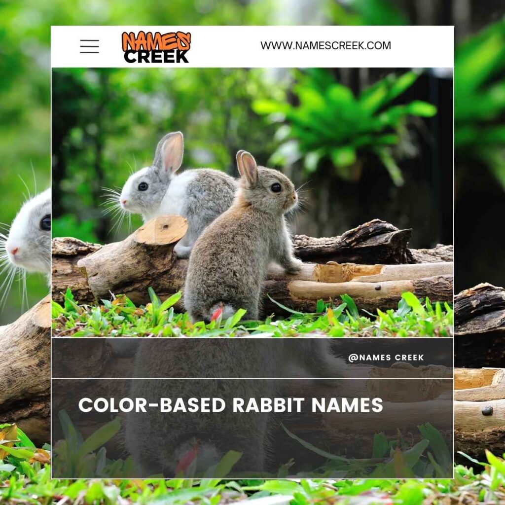 Color-Based Rabbit Names