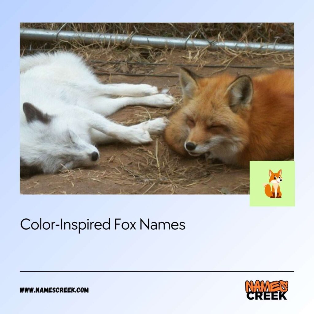 Color-Inspired Fox Names