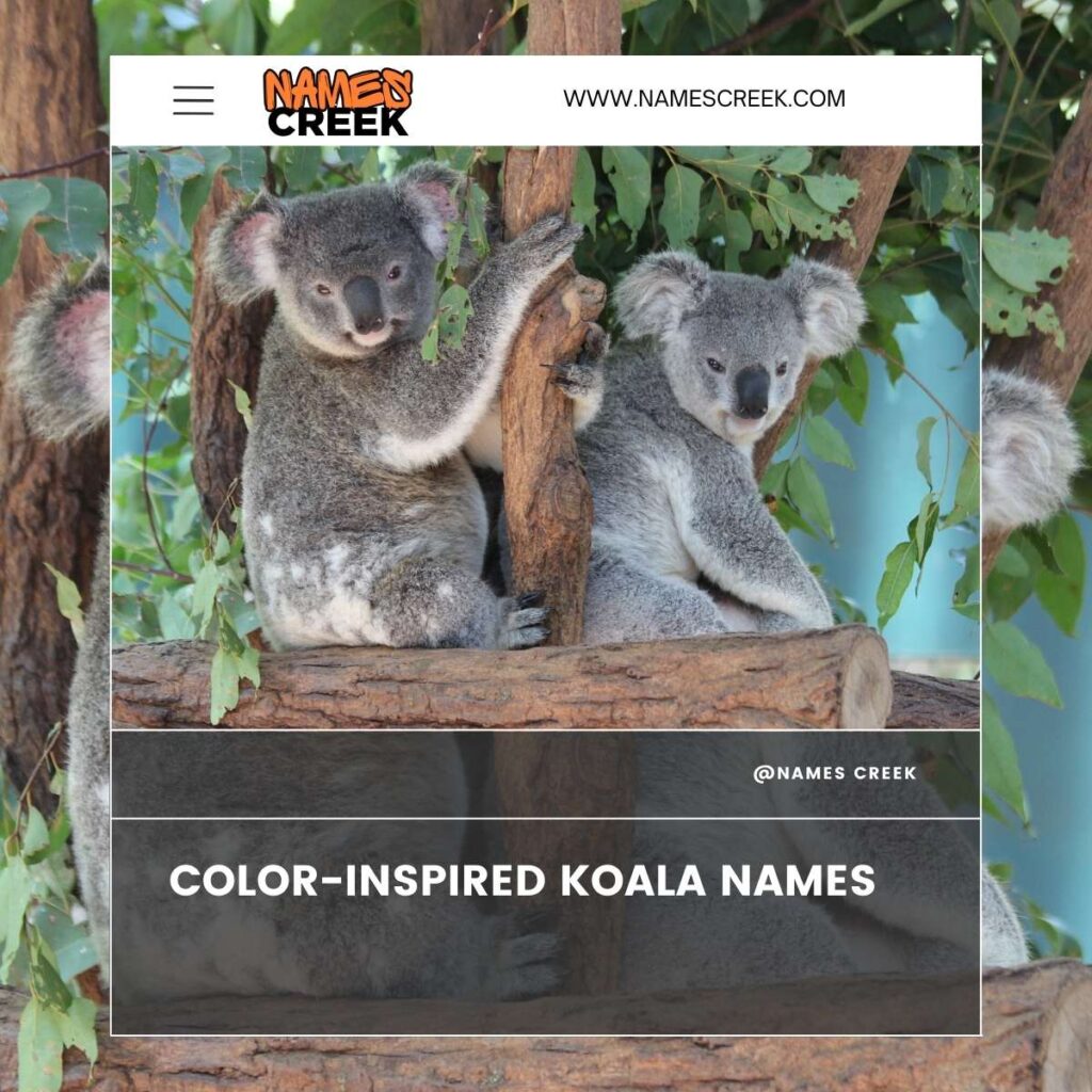 Color-Inspired Koala Names