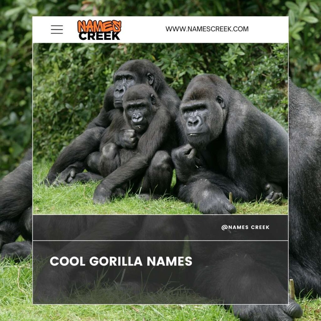 Cool Gorilla Names