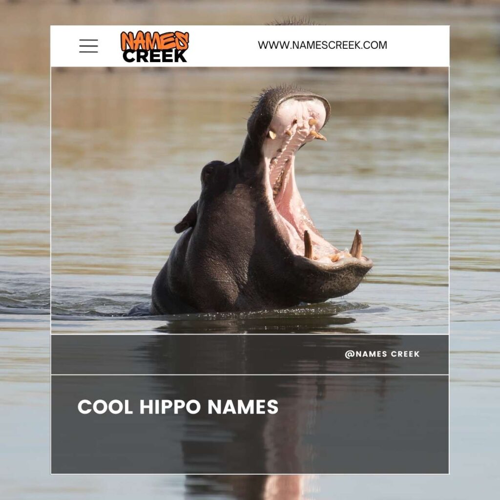 Top 400 Creative And Unique Hippo Names