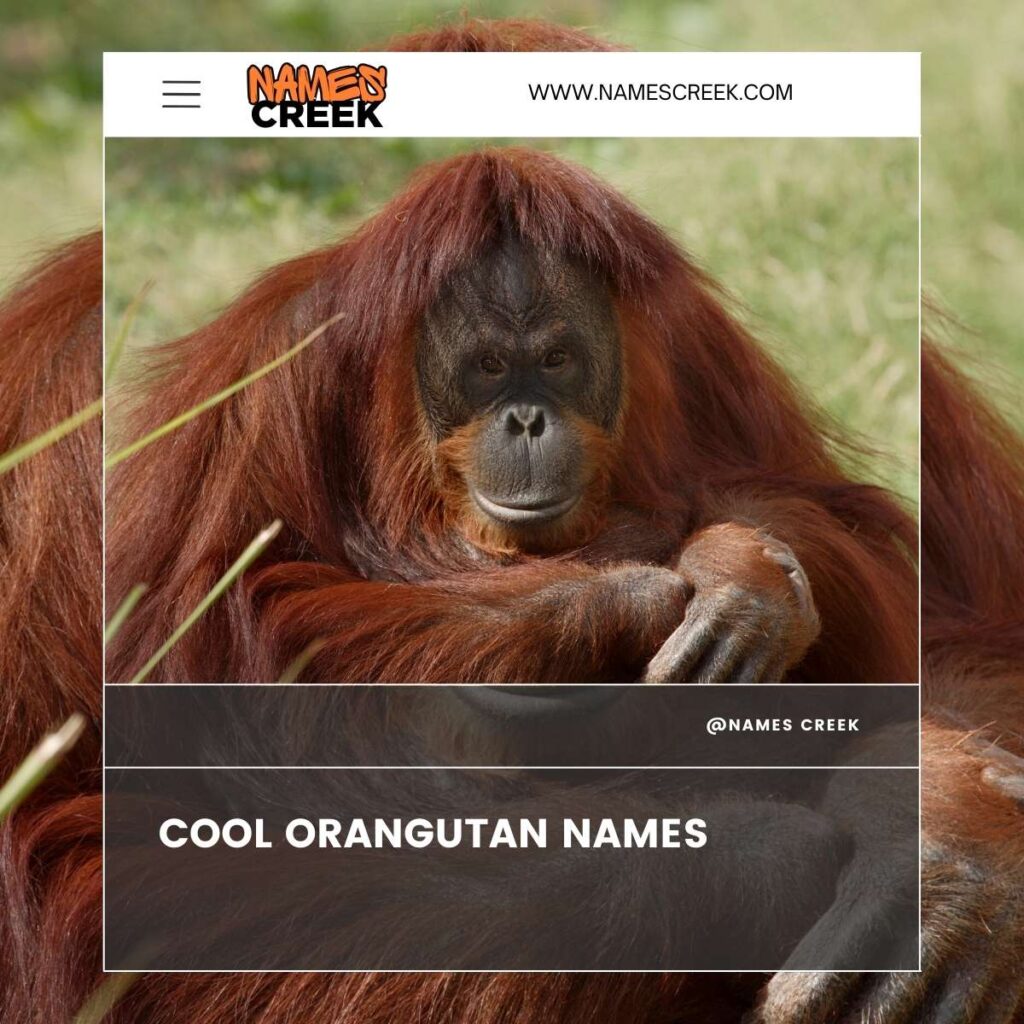 Cool Orangutan Names