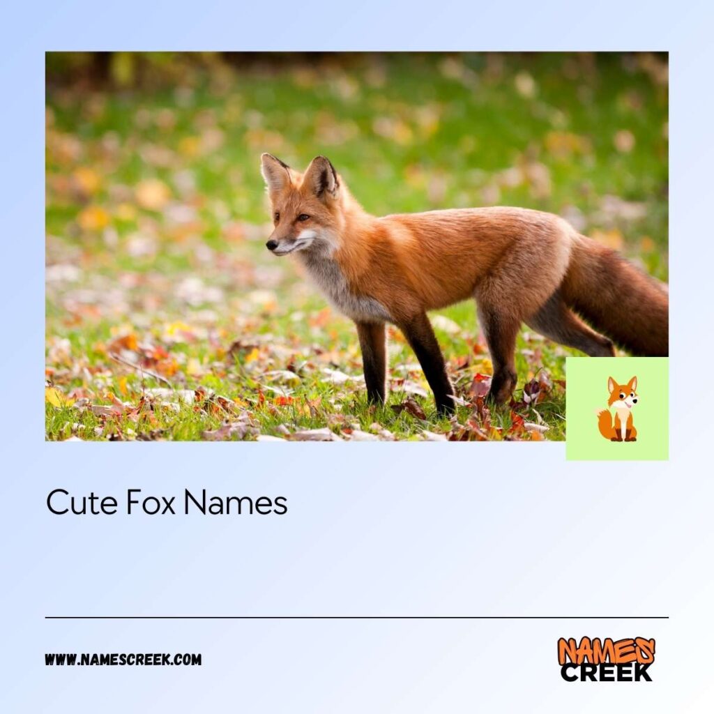 Cute Fox Names