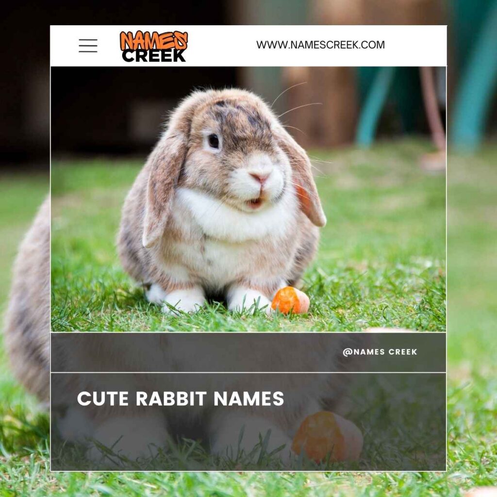 Cute Rabbit Names