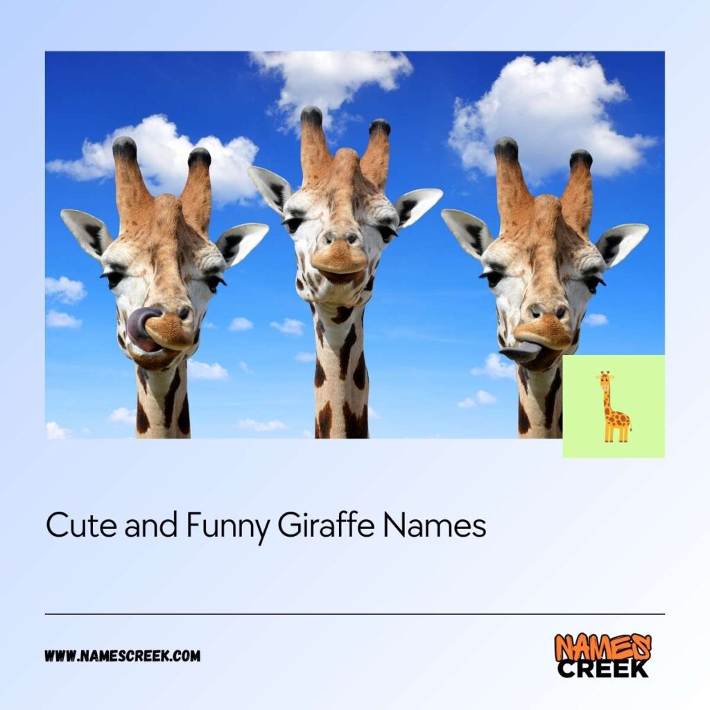 Cute and Funny Giraffe Names