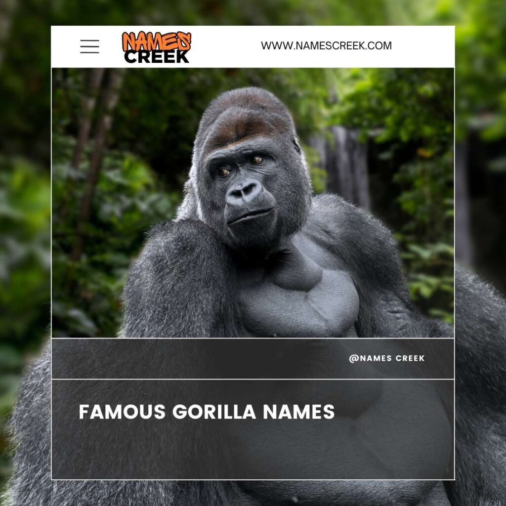 Famous Gorilla Names