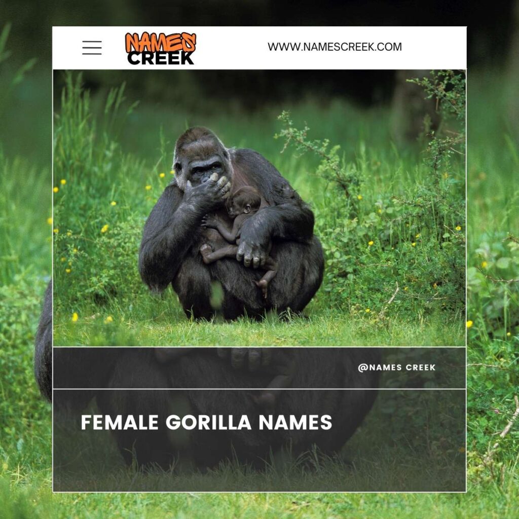 Female Gorilla Names