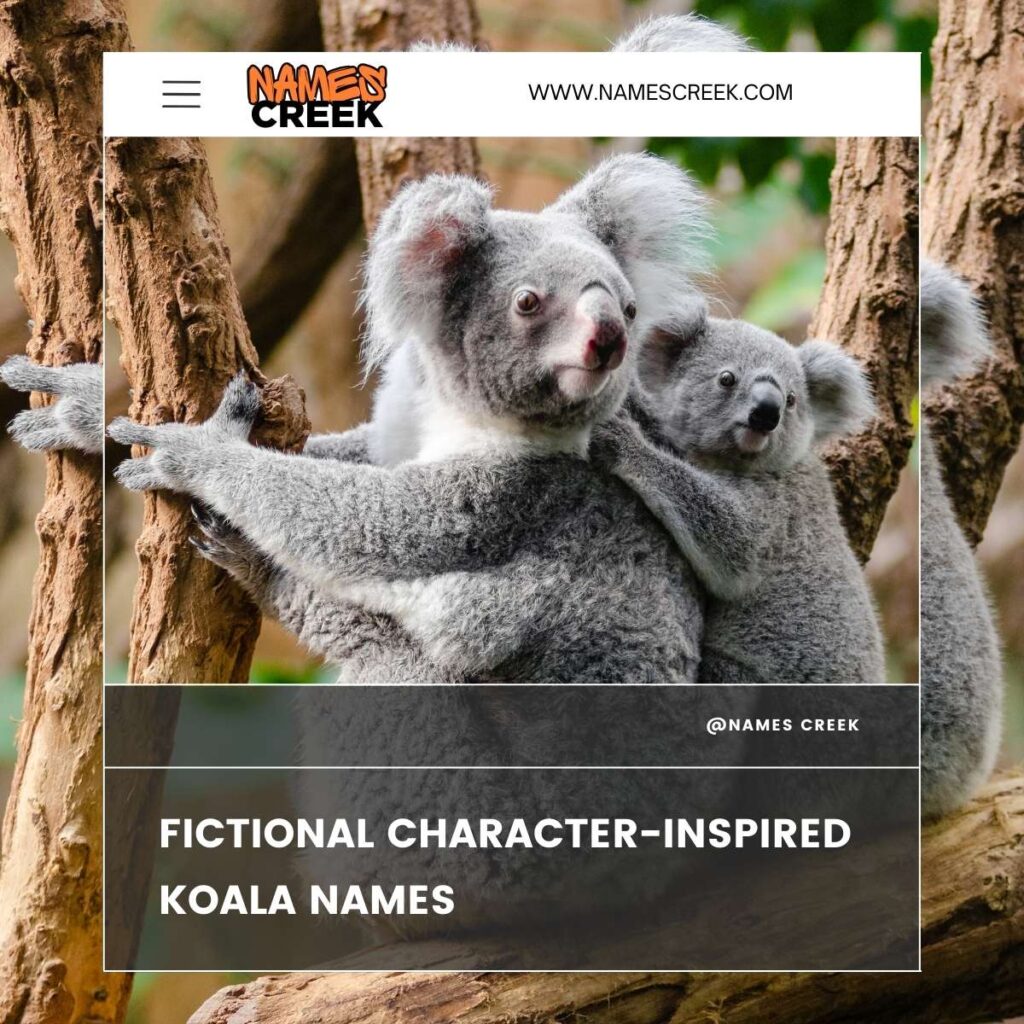 Fictional Character-Inspired Koala Names