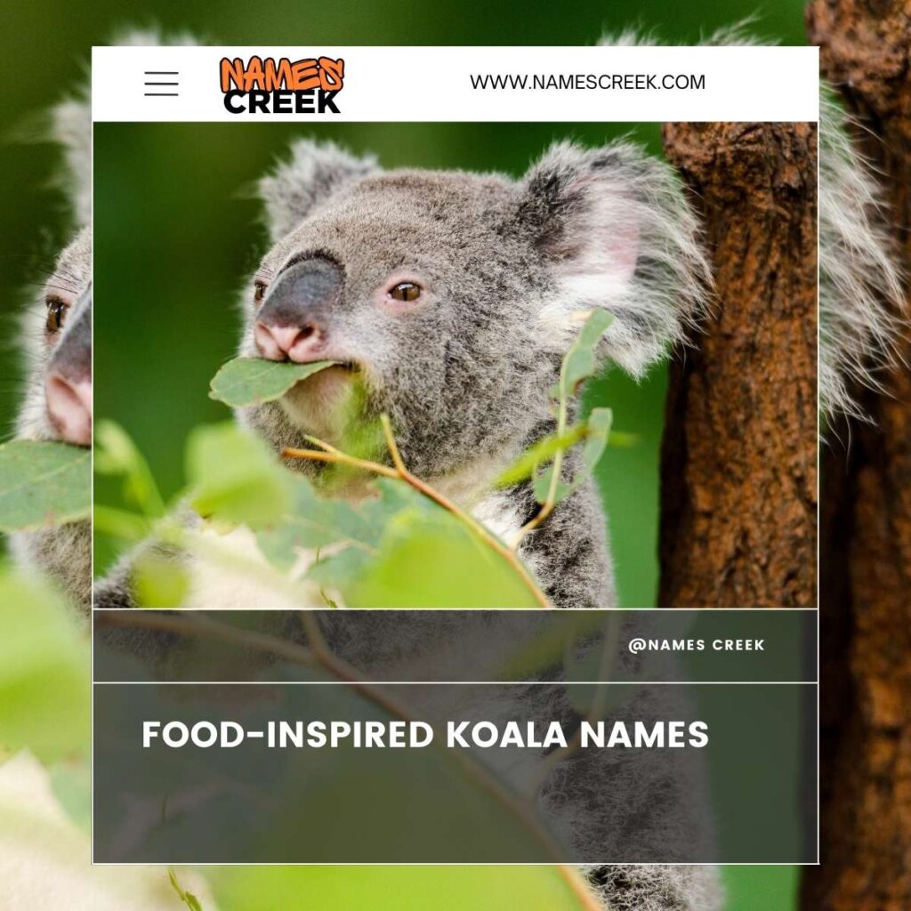 Food-Inspired Koala Names