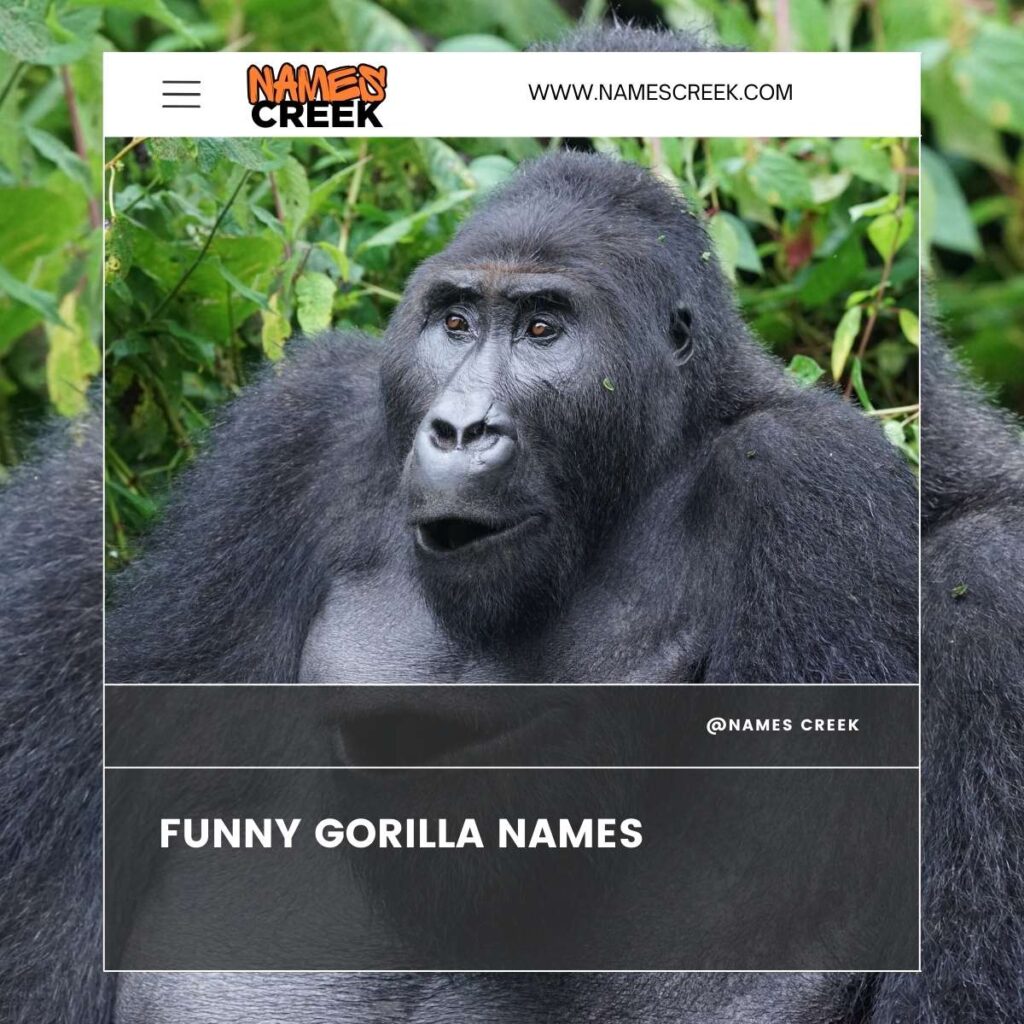 Funny Gorilla Names