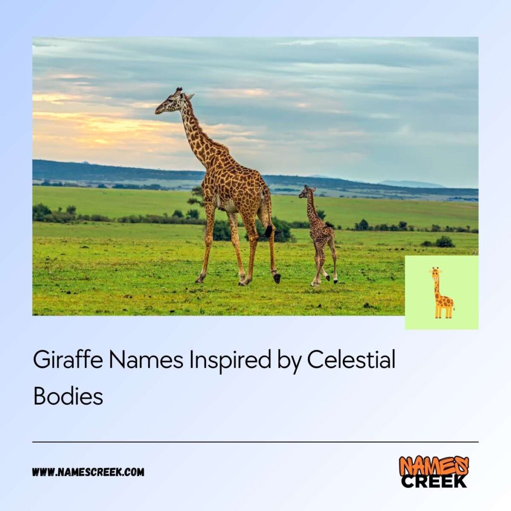 Giraffe Names Inspired by Celestial Bodies