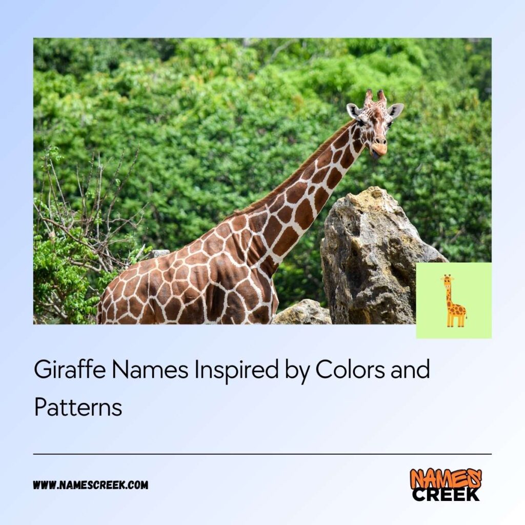 Giraffe Names Inspired by Colors and Patterns