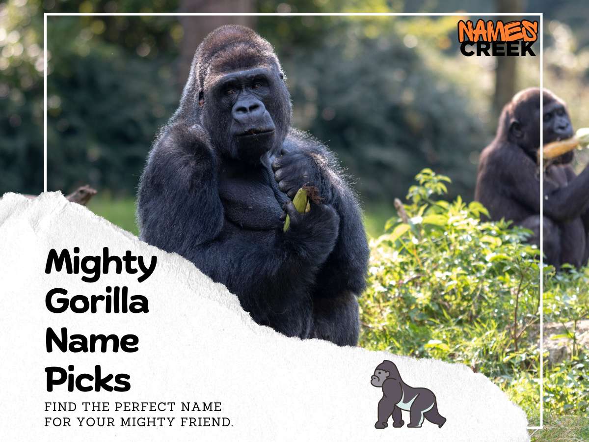 Gorilla Names