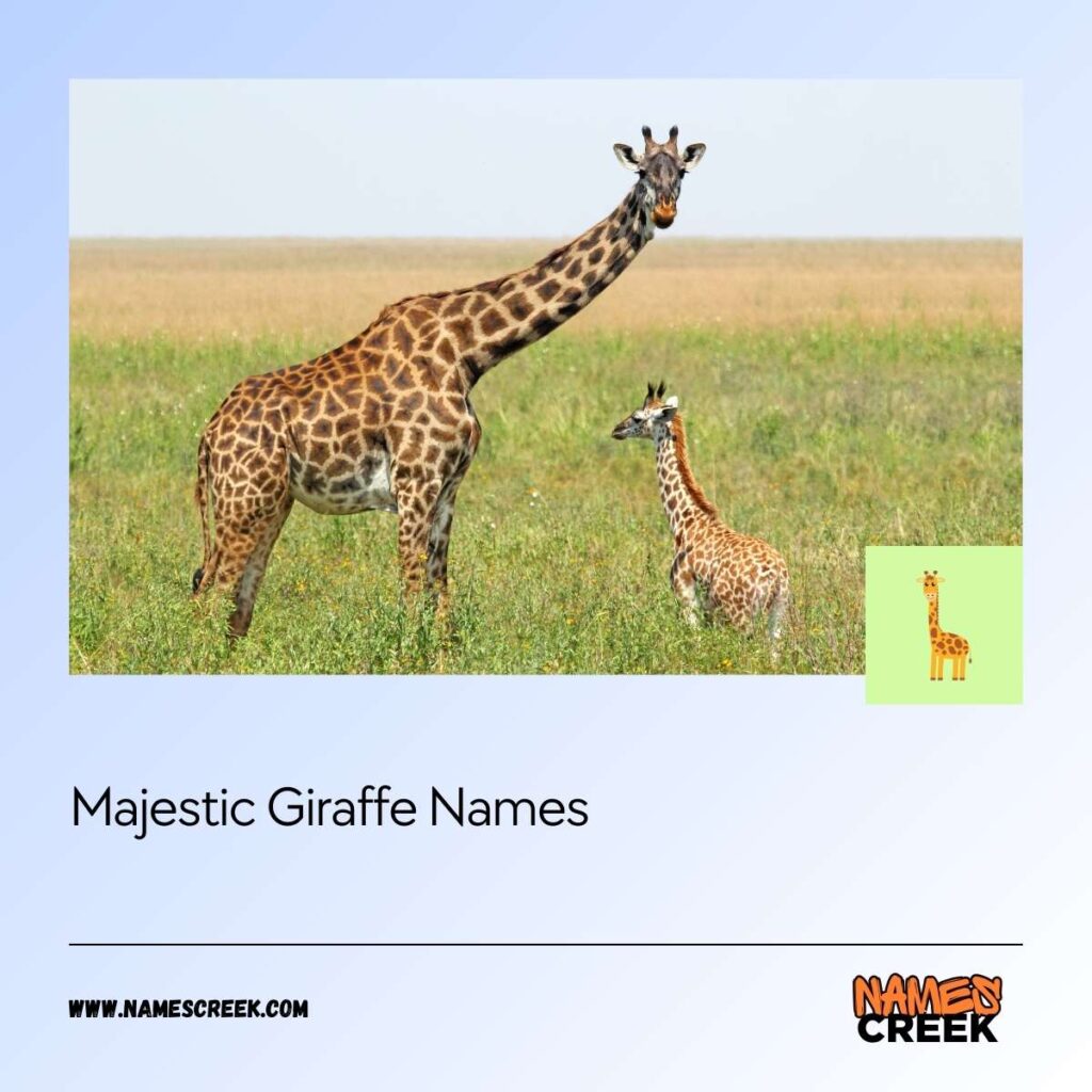 Majestic Giraffe Names