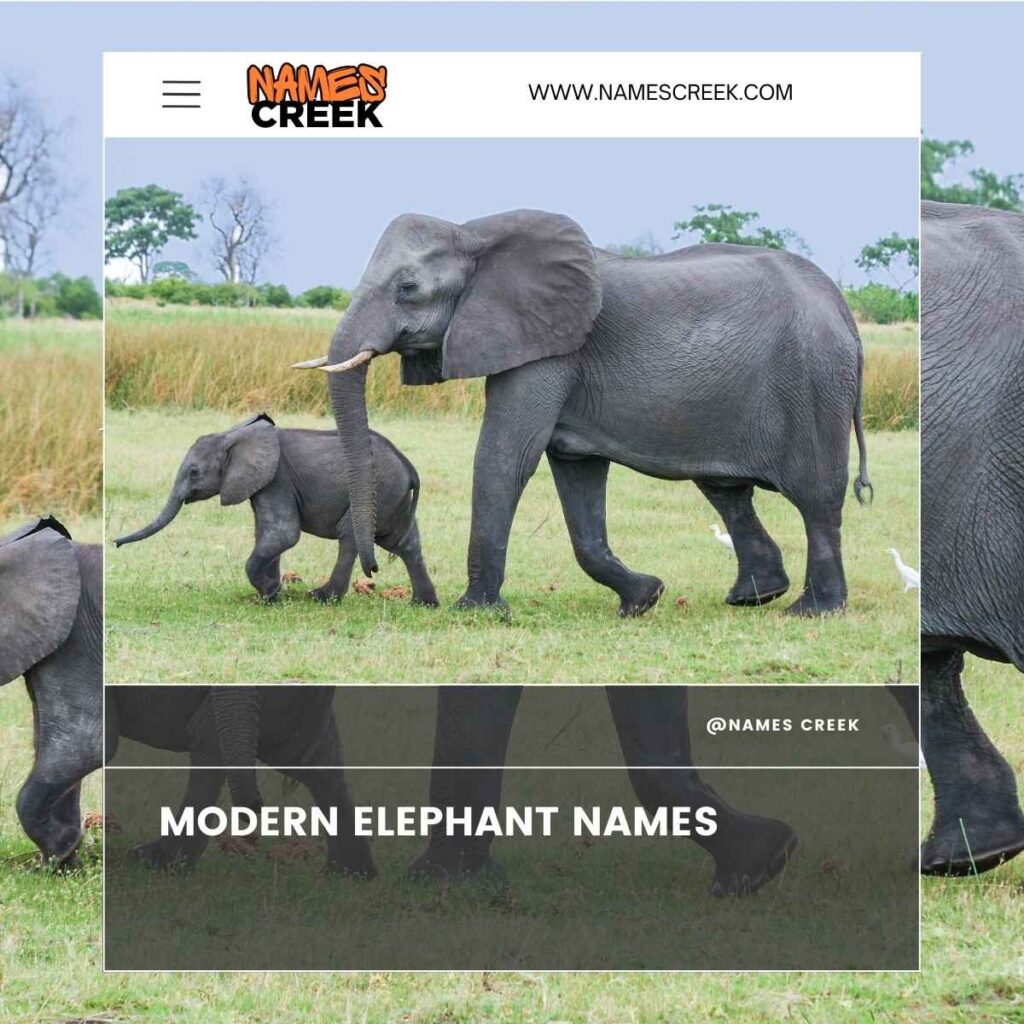 Modern Elephant Names