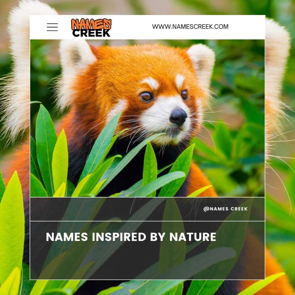 Names Inspired by Nature