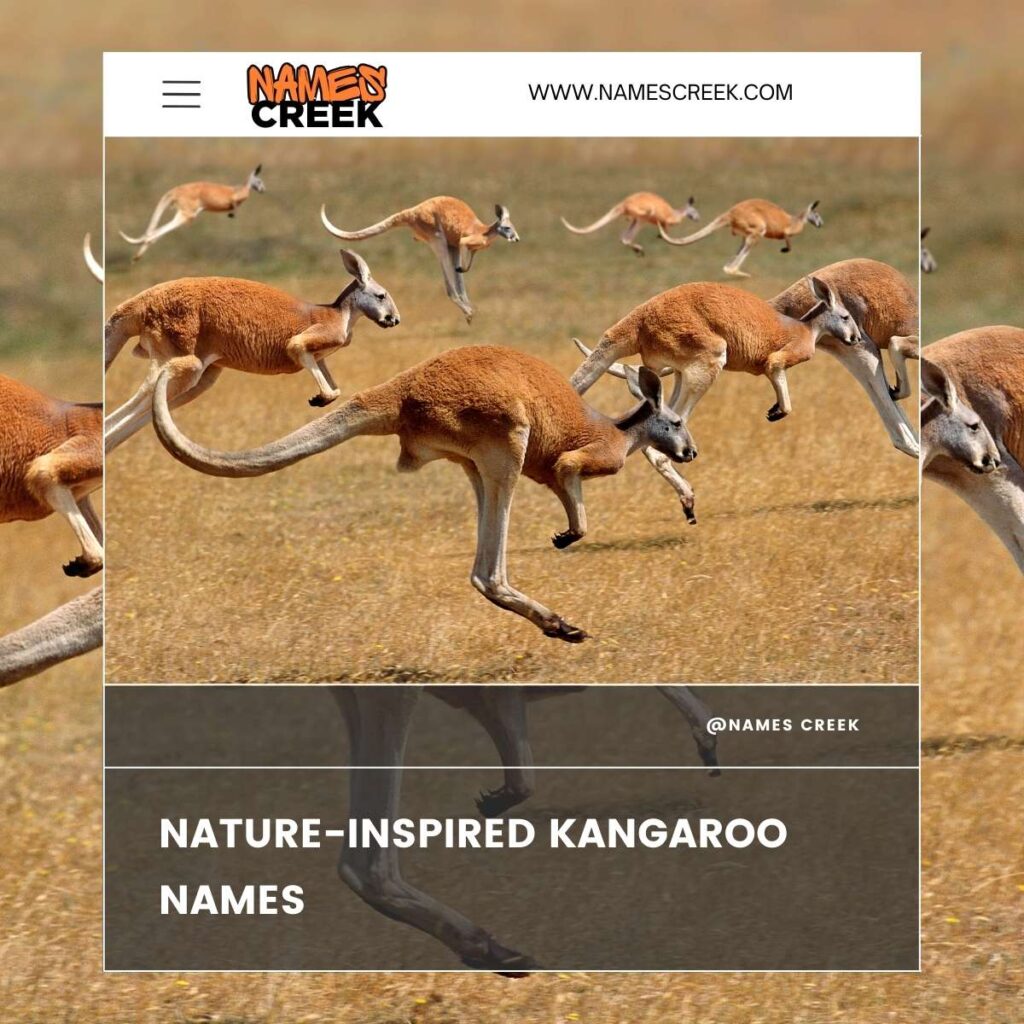 Nature-Inspired Kangaroo Names