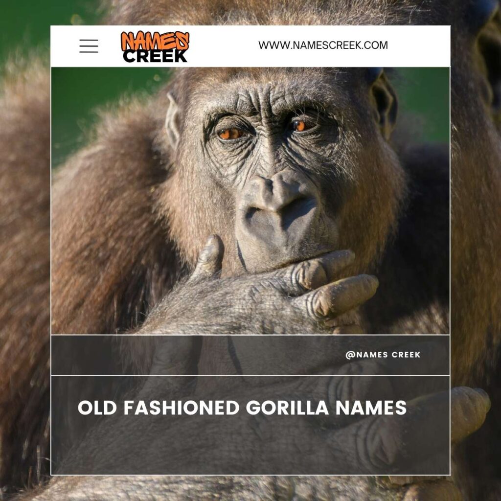 Old Fashioned Gorilla Names