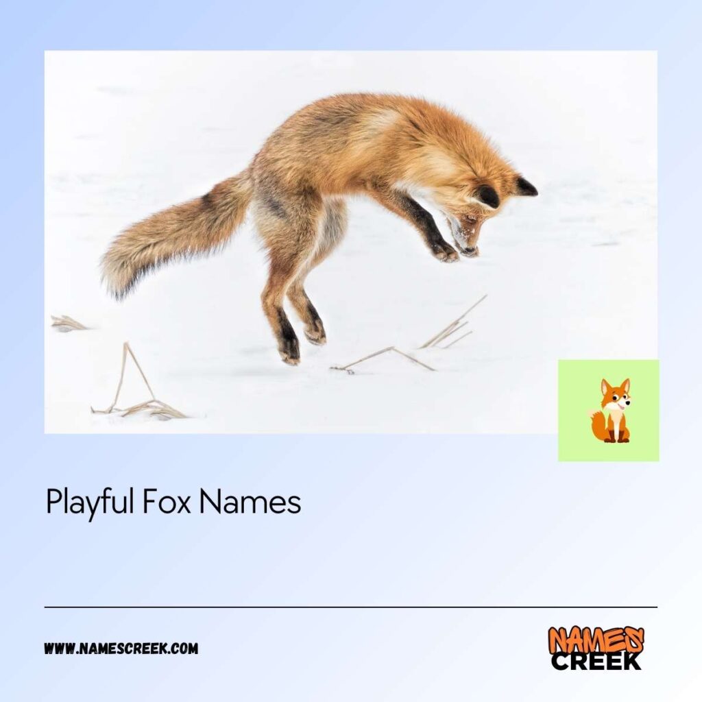 Playful Fox Names