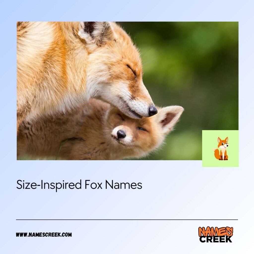 Size-Inspired Fox Names