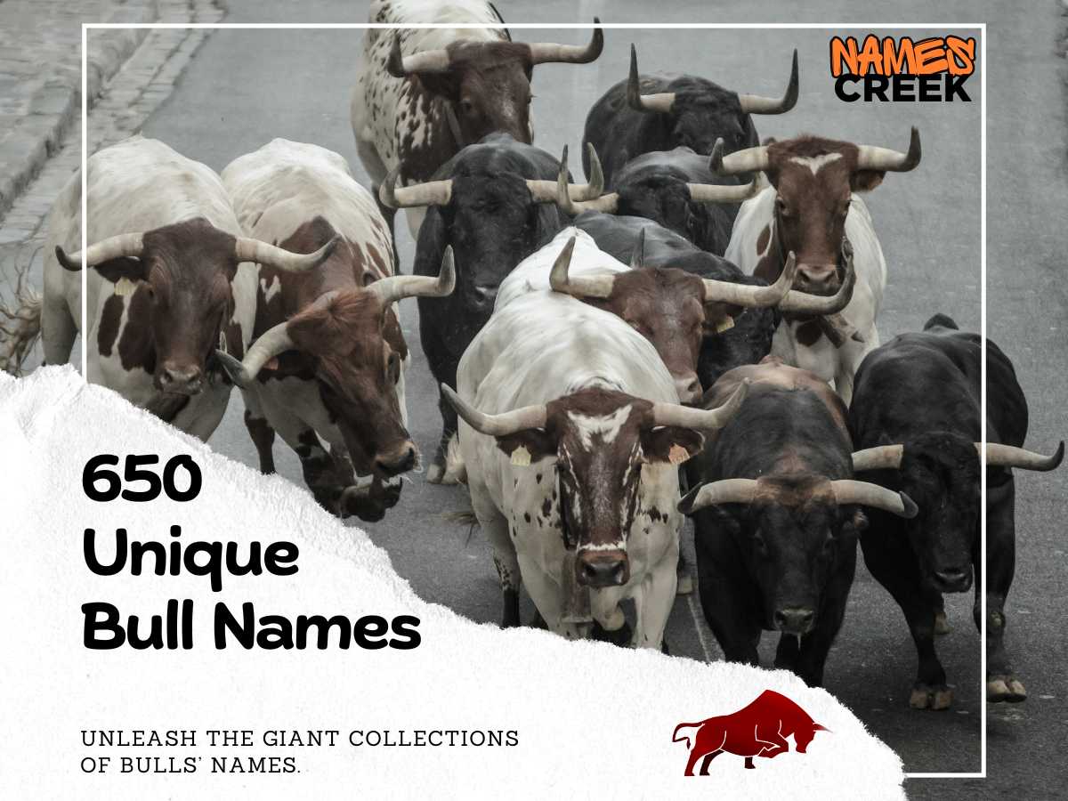 650 Unique Bull Names To Inspire Your Strong And Mighty Companion