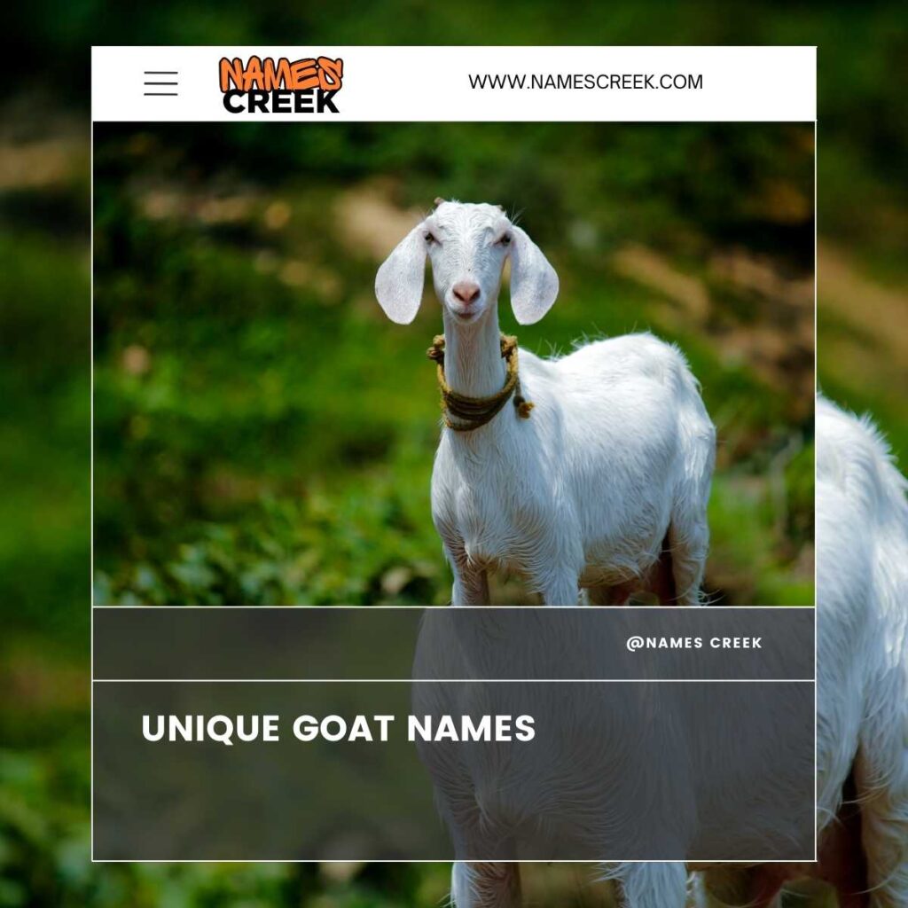 Unique Goat Names