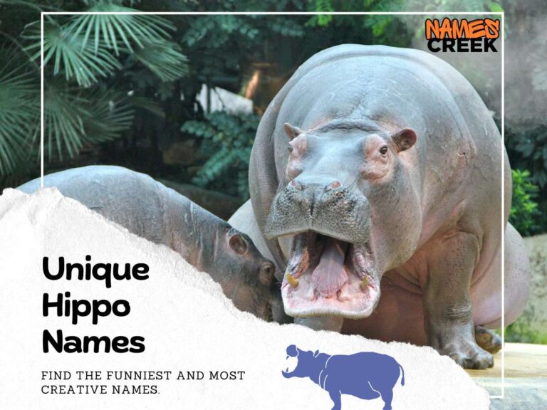 Top 400 Creative And Unique Hippo Names