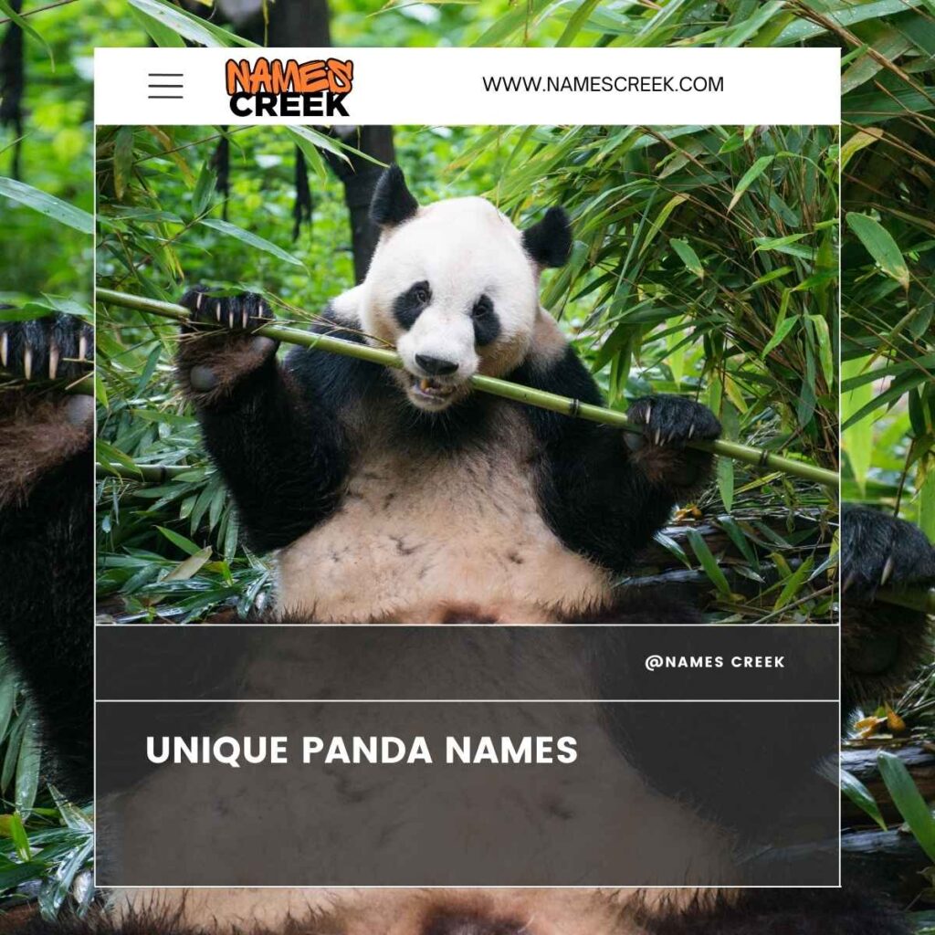 Unique Panda Names