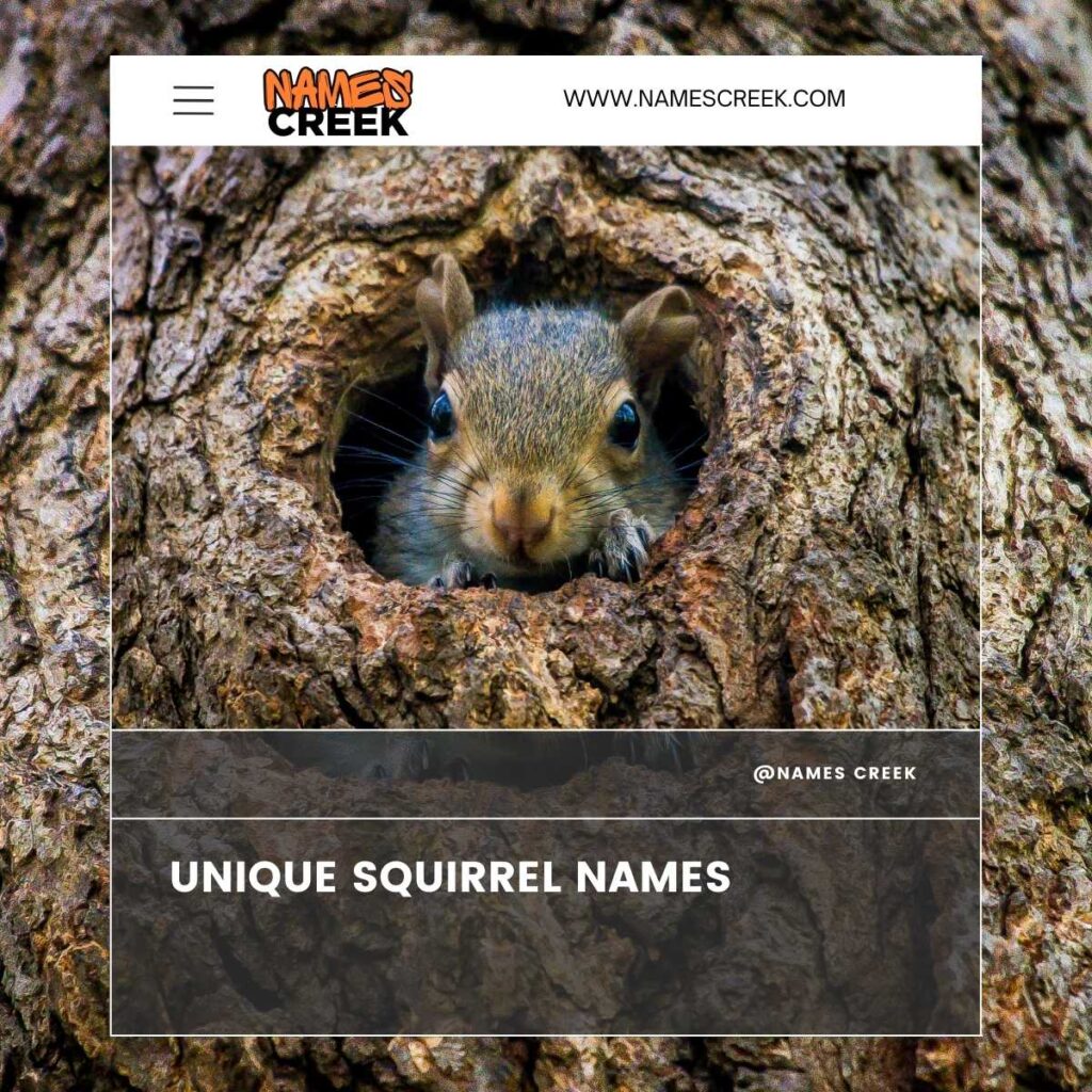 Unique Squirrel Names