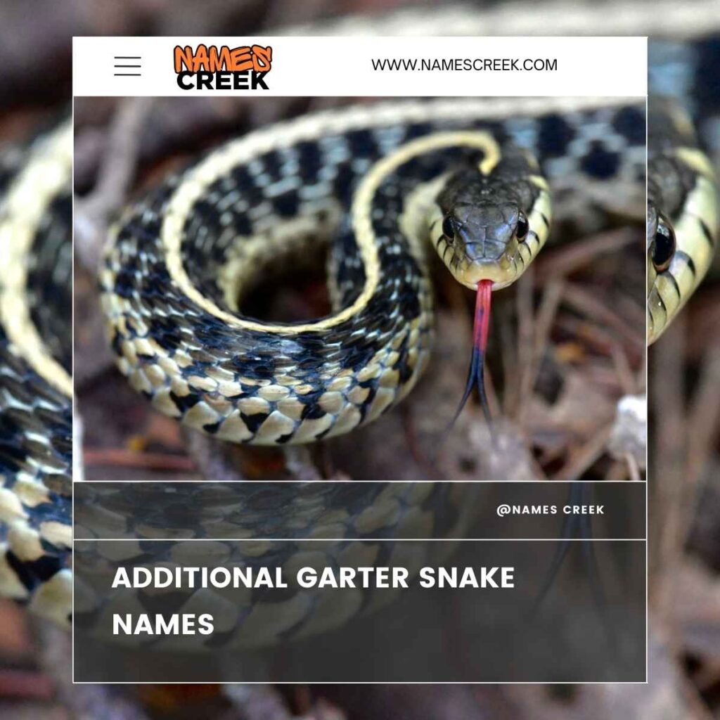 Additional Garter Snake Names