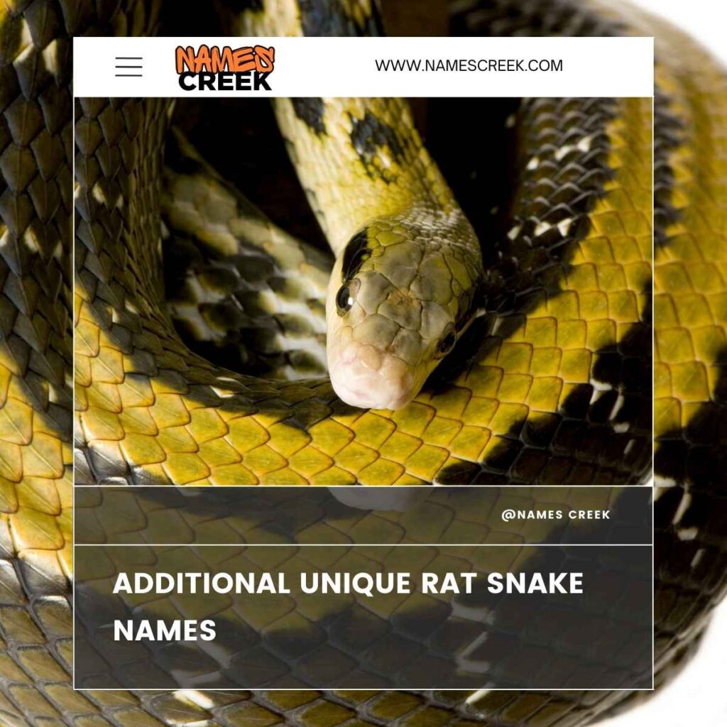 Additional Unique Rat Snake Names