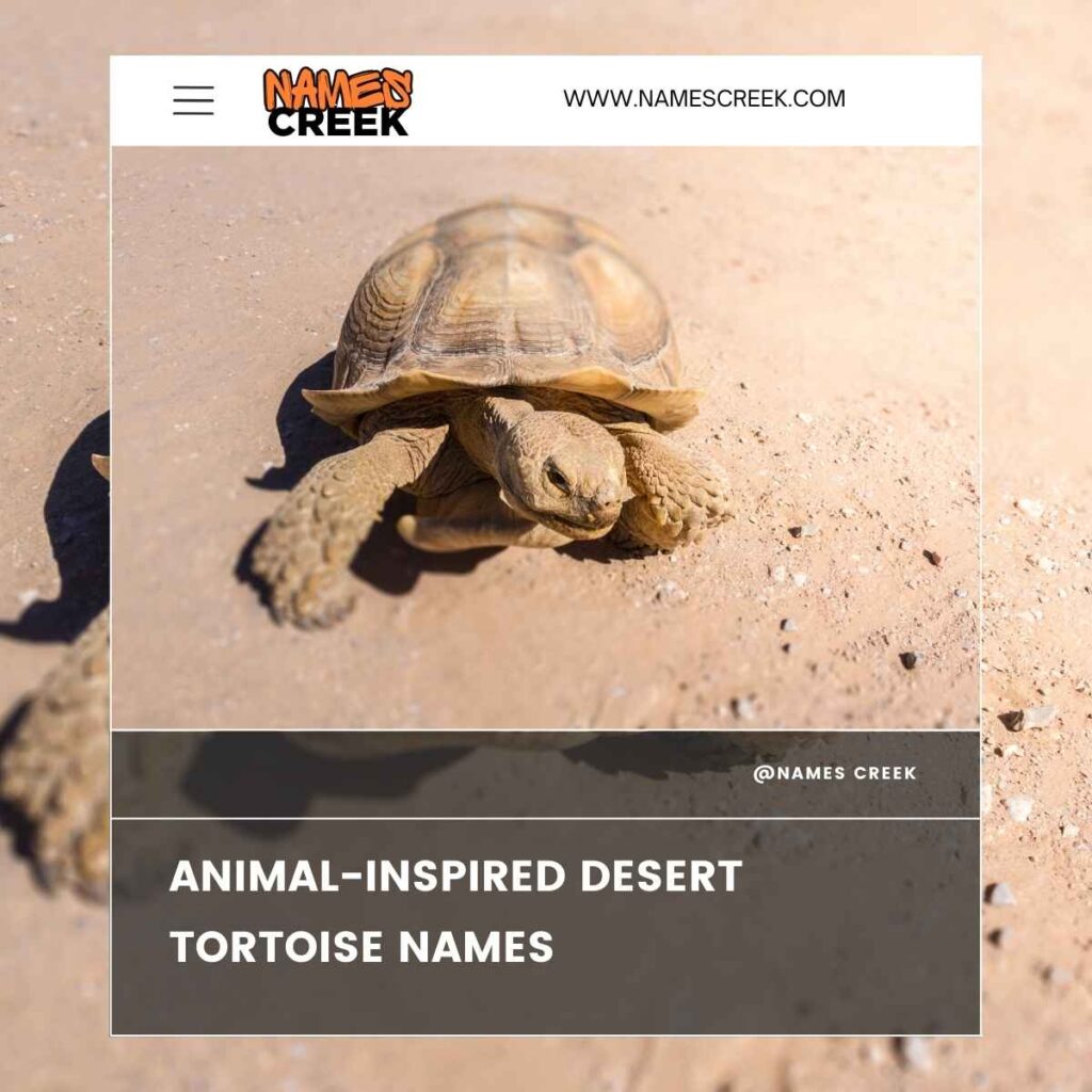 Animal-Inspired Desert Tortoise Names