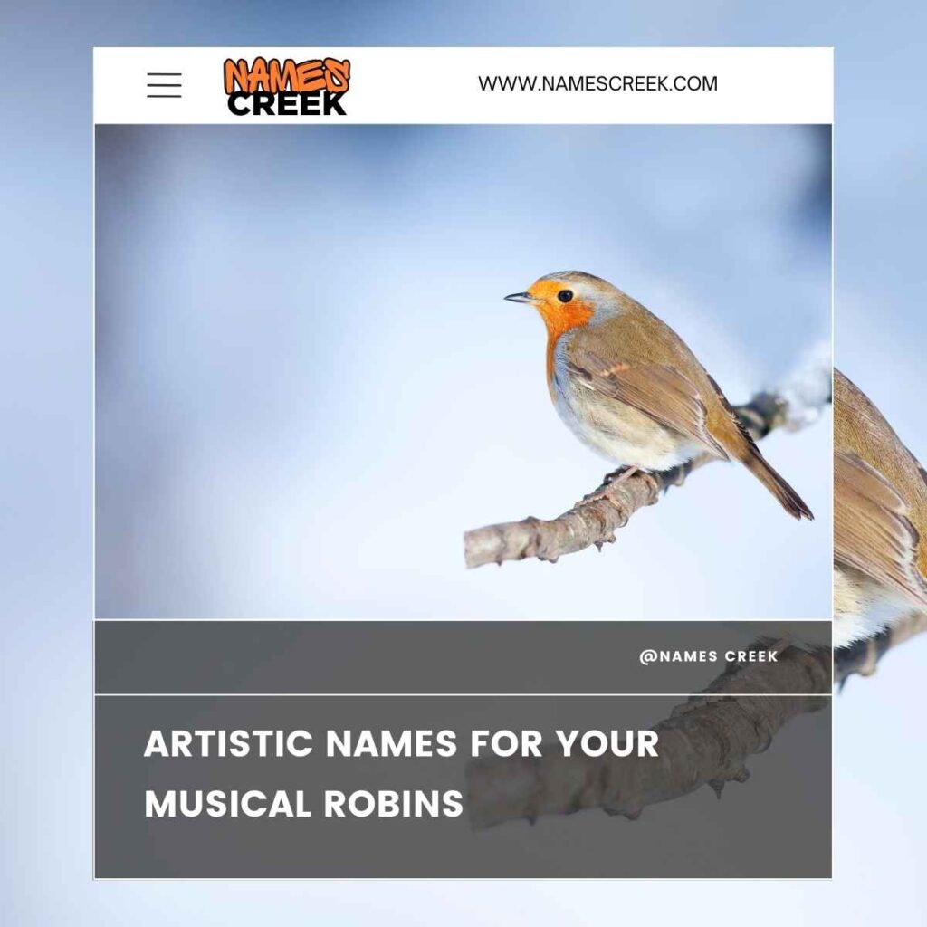 Artistic Names for Your Musical Robins